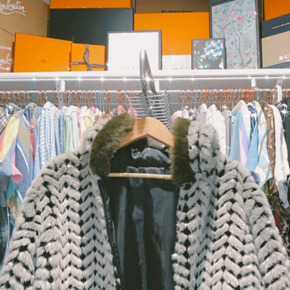 Fur Coat